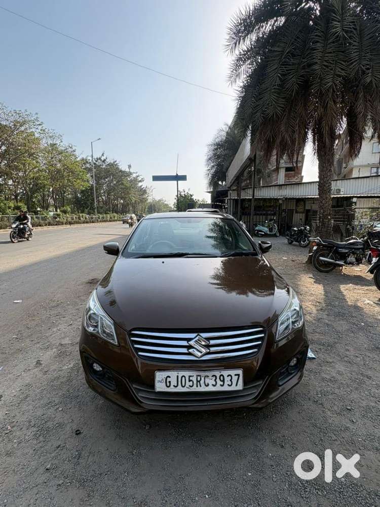 Ciaz Brown Colour 2017-2018 Delta Manual