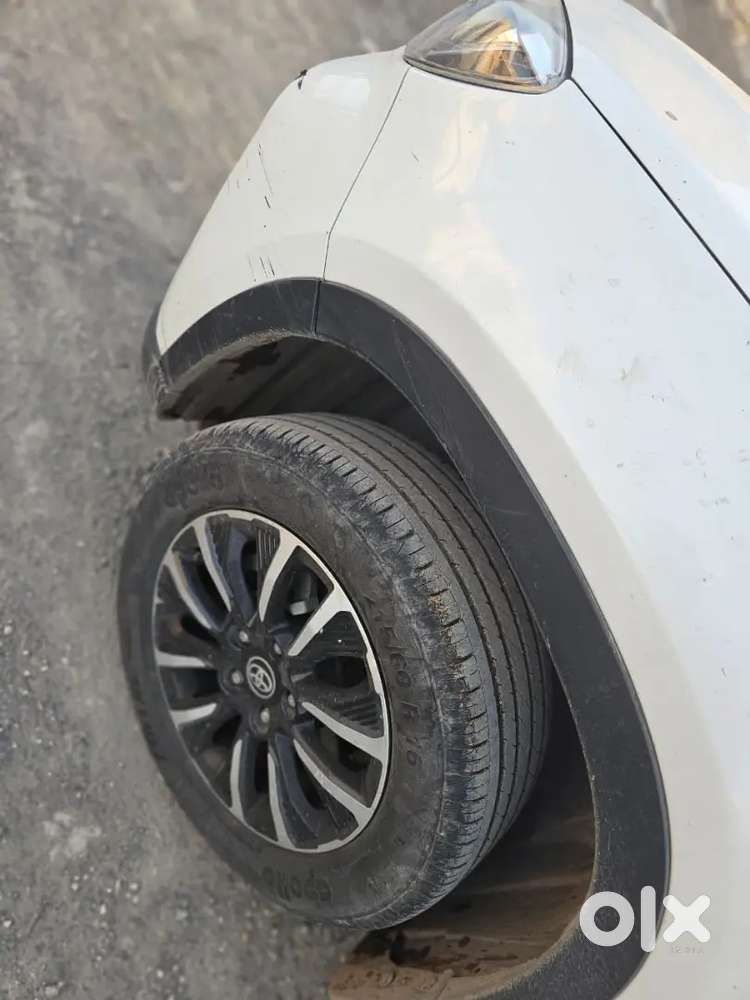 Toyota Urban Cruiser Petrol 2022