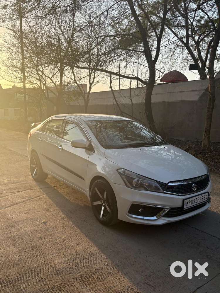 Maruti Suzuki Hybrid 2023 Year
