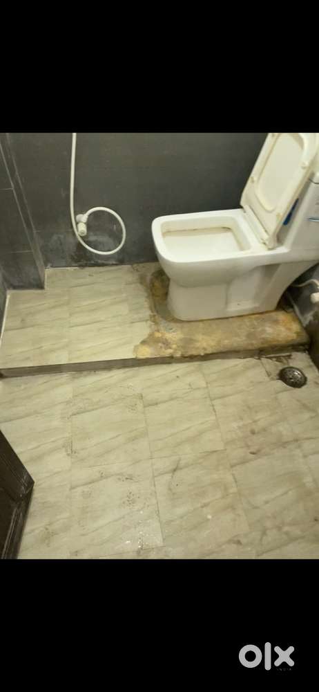 Need only female room partner