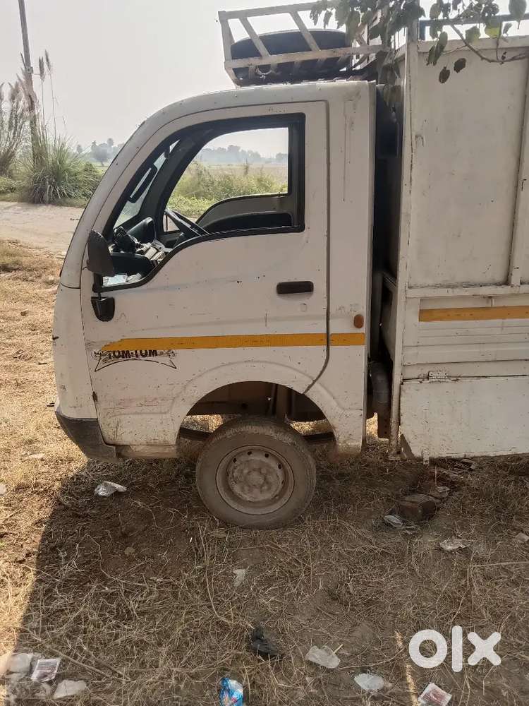 Chota Bulbul