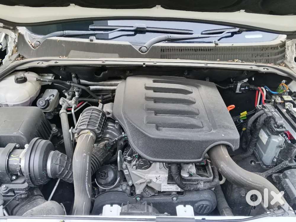 Mahindra Scorpio N Z8 Petrol At 7 Str, 2025, Petrol