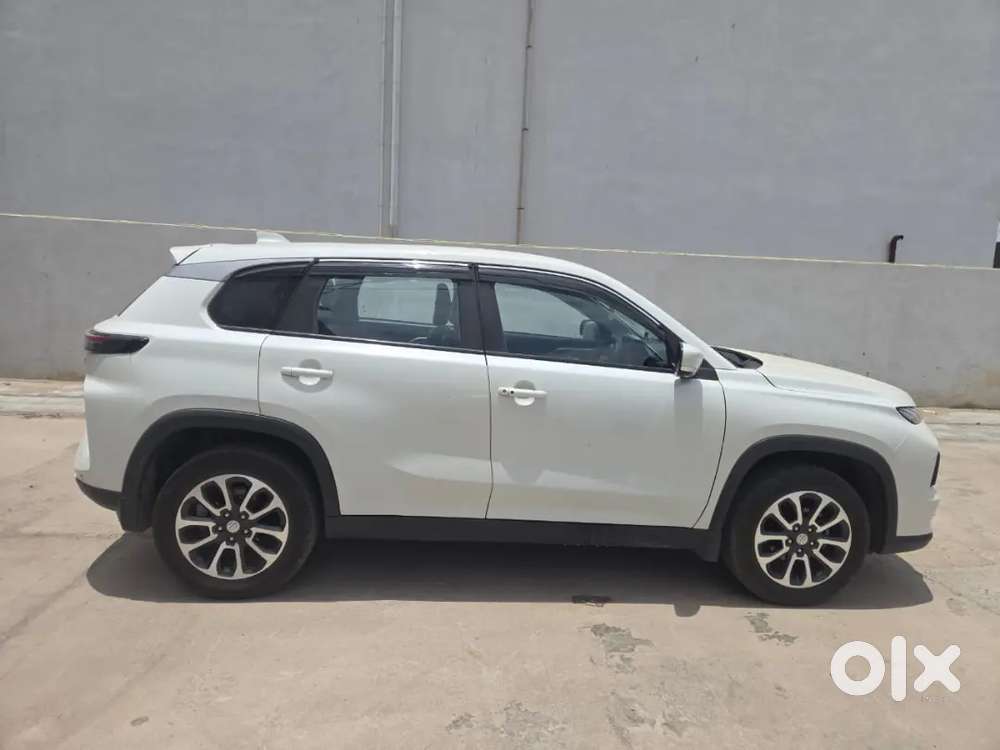 Maruti Suzuki Grand Vitara 2024 Petrol Well Maintained