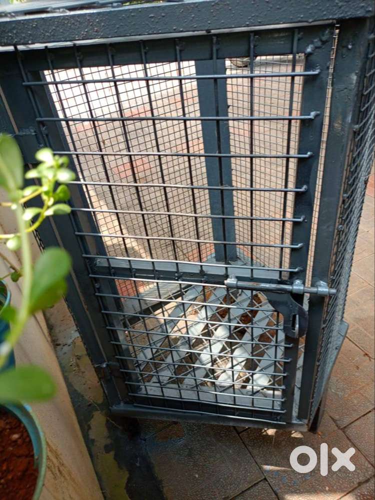 Gas Cylinder Stand for Sale