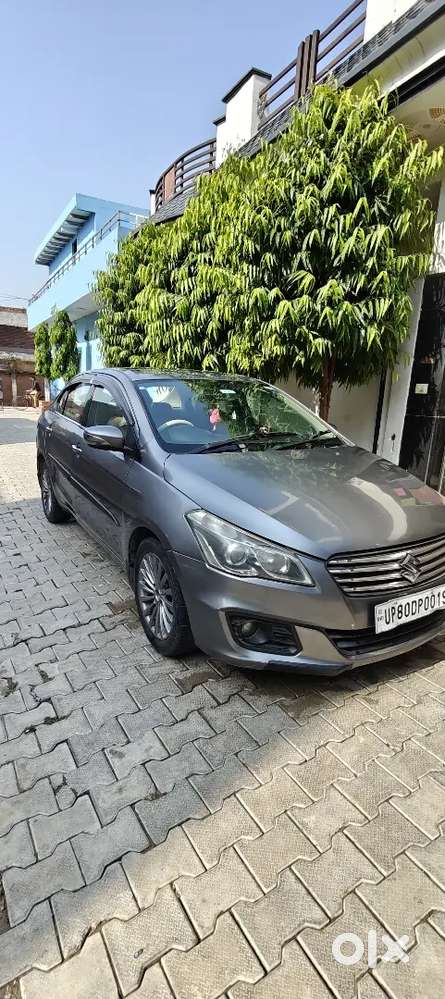 Ciaz Car For Sale