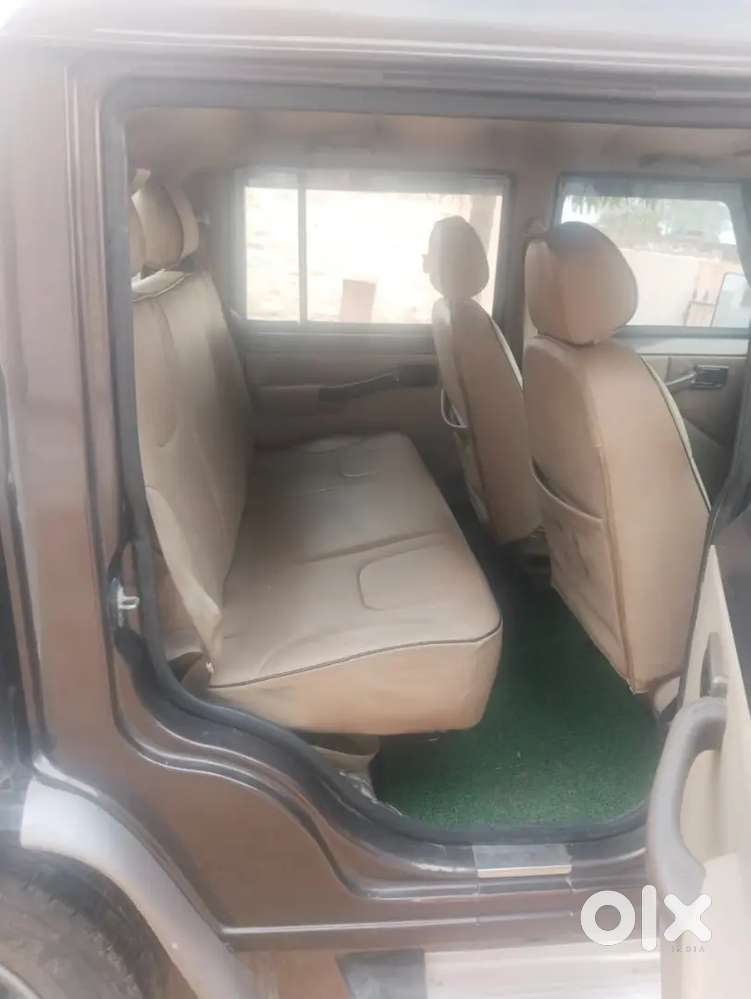 Bolero Camper Zx Top December 2021