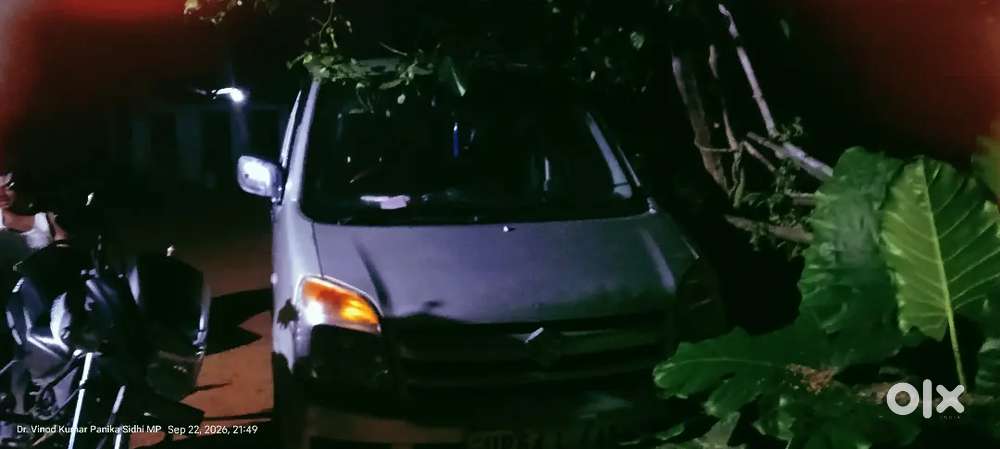 Maruti Suzuki Wagon R Lxi Minor 2009