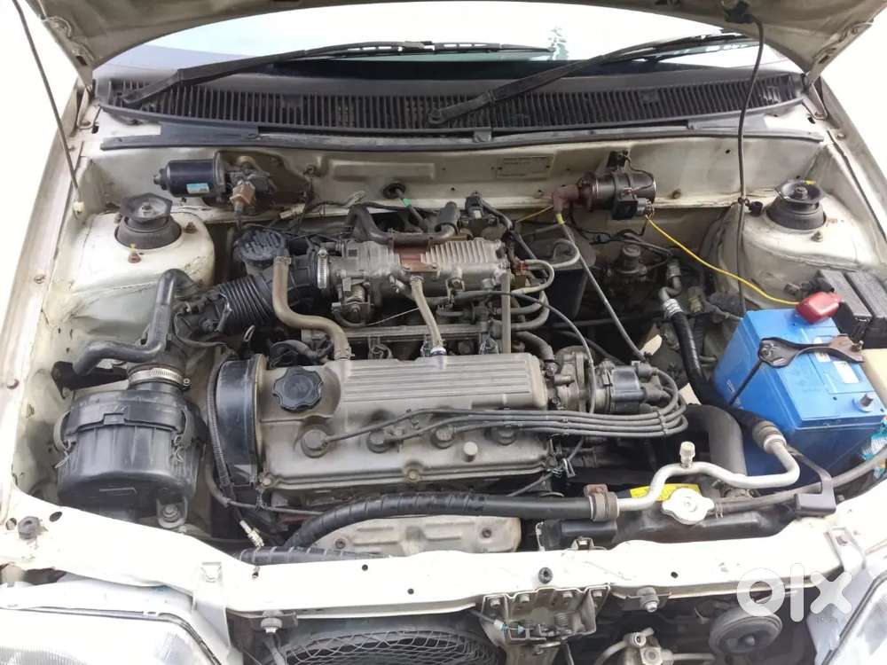 Mint Condition Car Renewal 2030