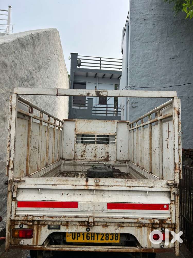 Best Condition Ace Gold Urgent Sell