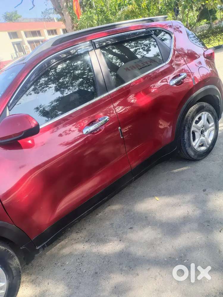 Red Beauty Colour German Buyer Contact Only