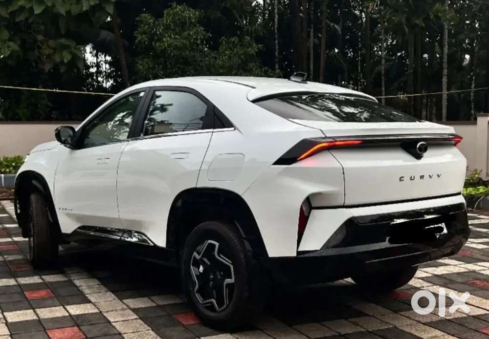 Tata Curvv 2025 Yearback Model