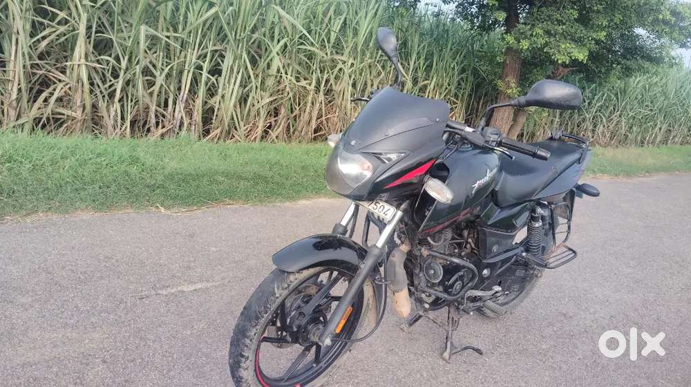 Bajaj Pulsar 125 2023 Model