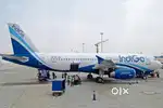 Cabin Crew/ Airport Ground Staff Jobs in Indigo airlines.