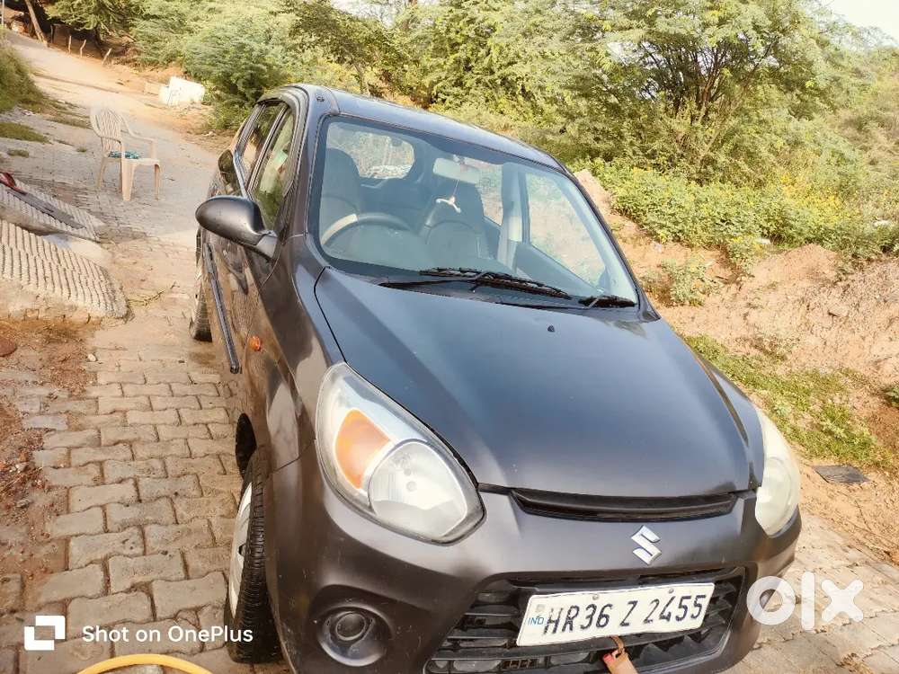 Maruti Car Alto 800