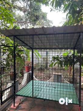 Dog cage 2025 in olx