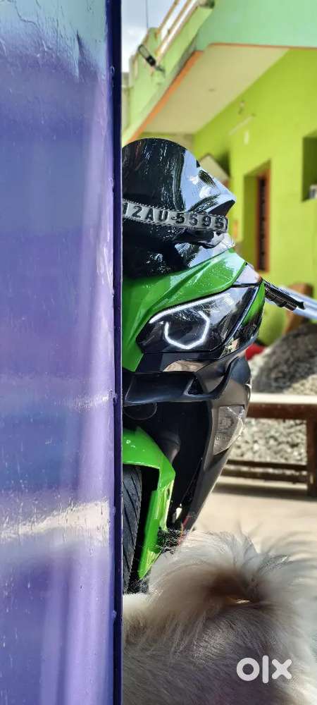 Kawasaki Ninja 300 - Motorcycles in Vanagaram Kamatchi Nagar