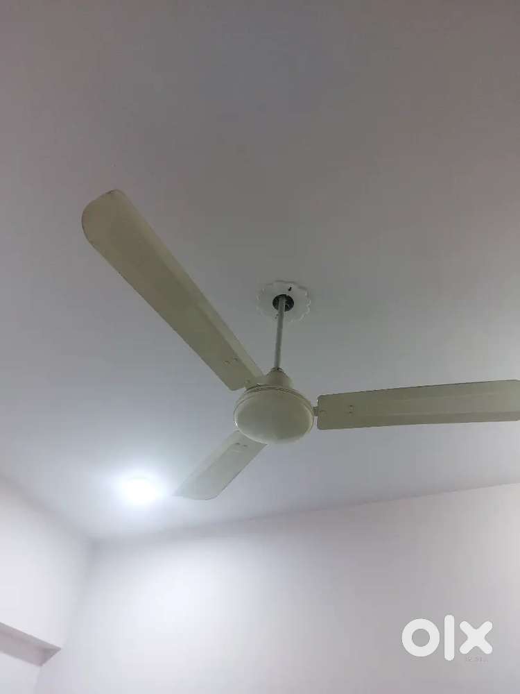 Ceiling fan in good condition
