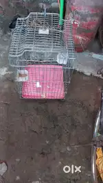 Bird cage for sale