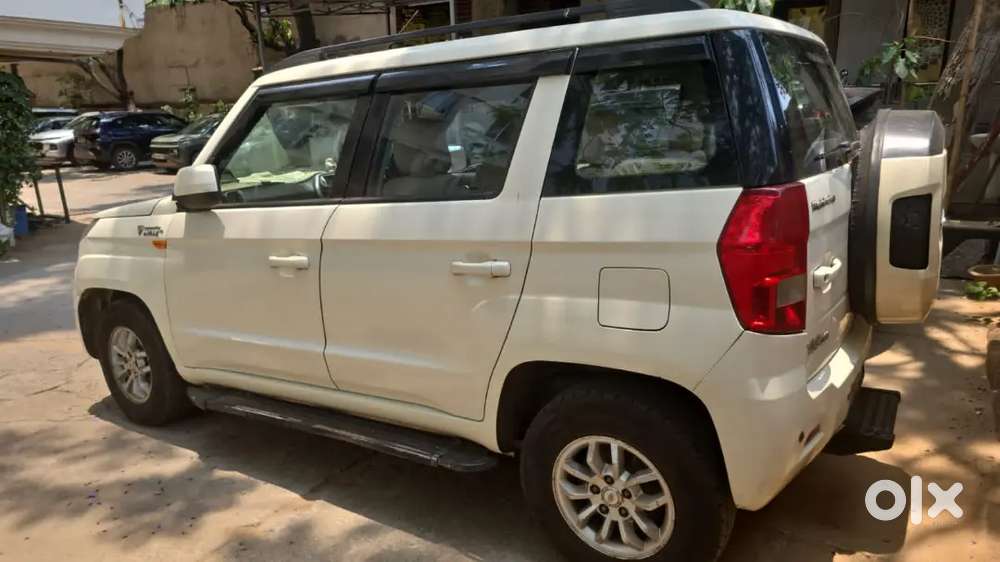 Tuv On Sale