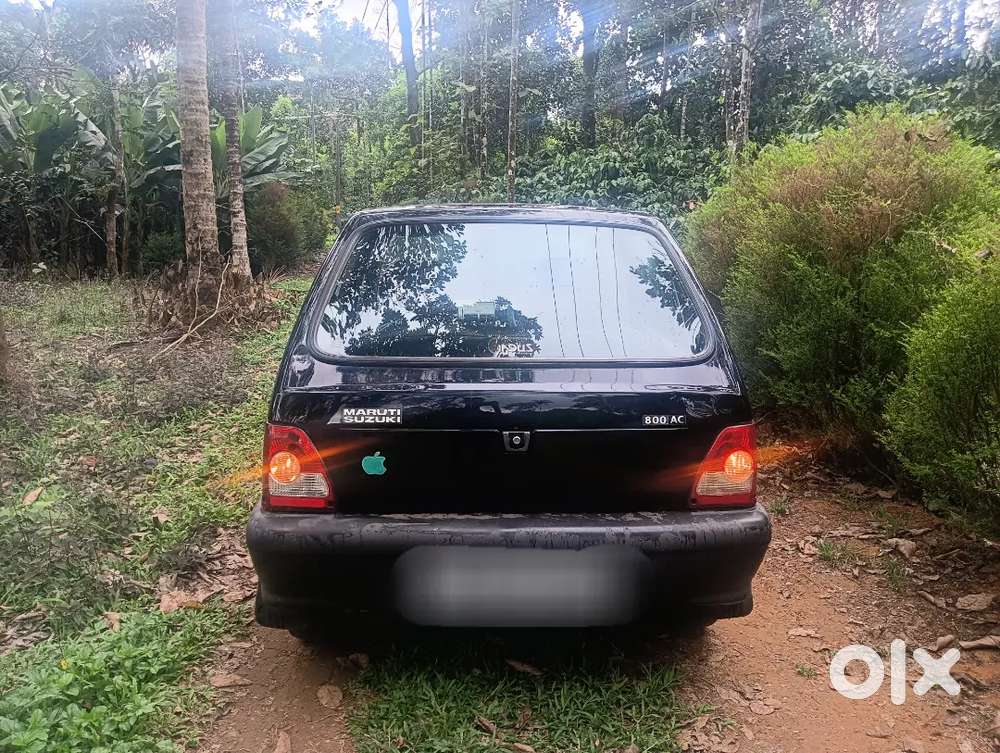 Maruti Suzuki 800 2010 Petrol Well Maintained