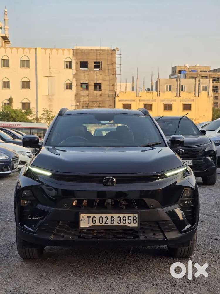 Tata Nexon 2024 Petrol Well Maintained