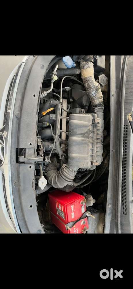 Engine Seal Hai