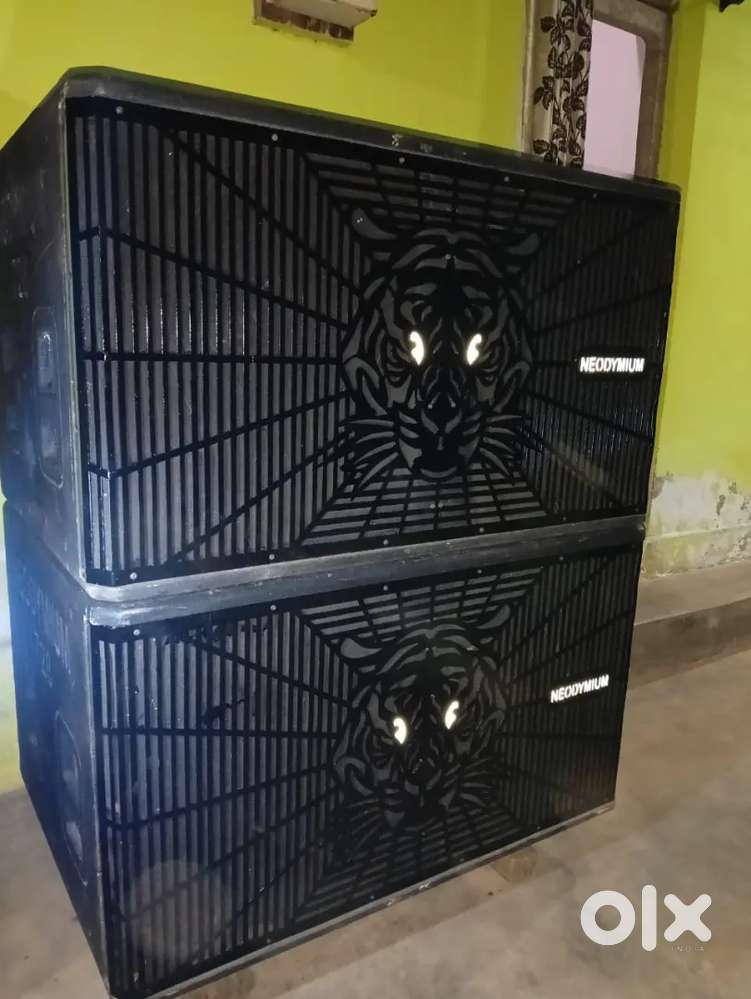 Neodymium bass cabinate