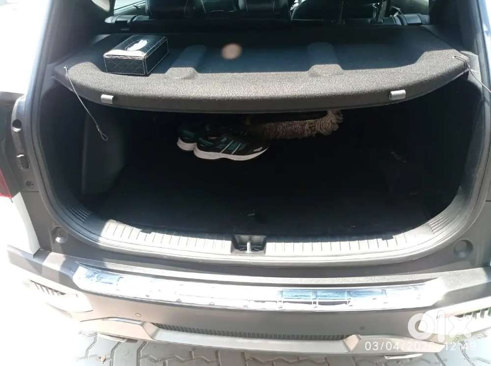 Kia Seltos 2024 Petrol 15000 Km Driven