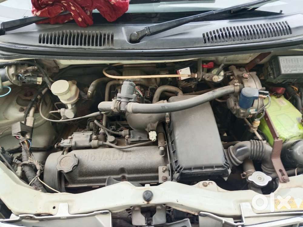 Maruti Suzuki 2009 Model