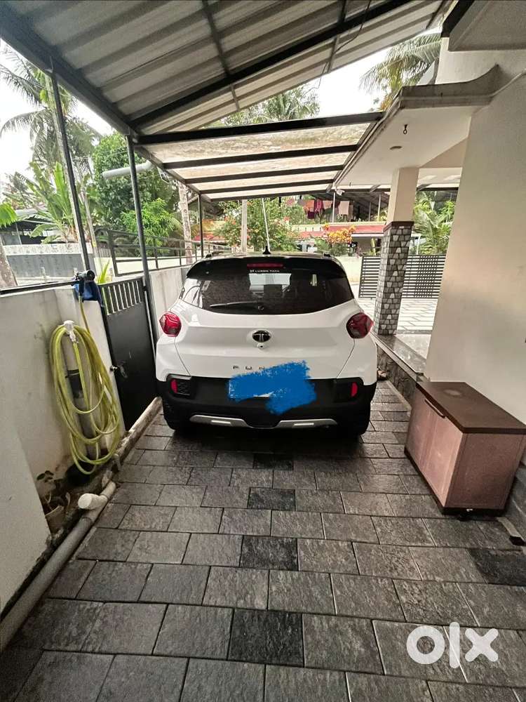 Show Room Condition Punch Amt Creative Plus 2025 Contact