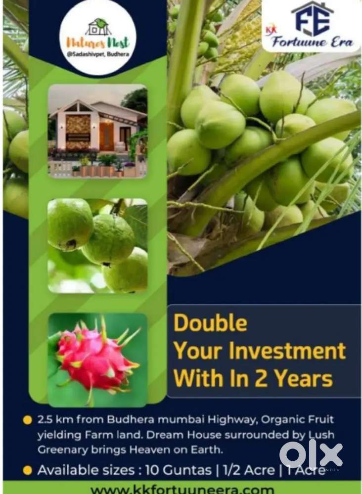 ONE ACRE FARMLAND WITH FRUITS PLANTATION  Rs.90 LAKHS AT SADASIVPET