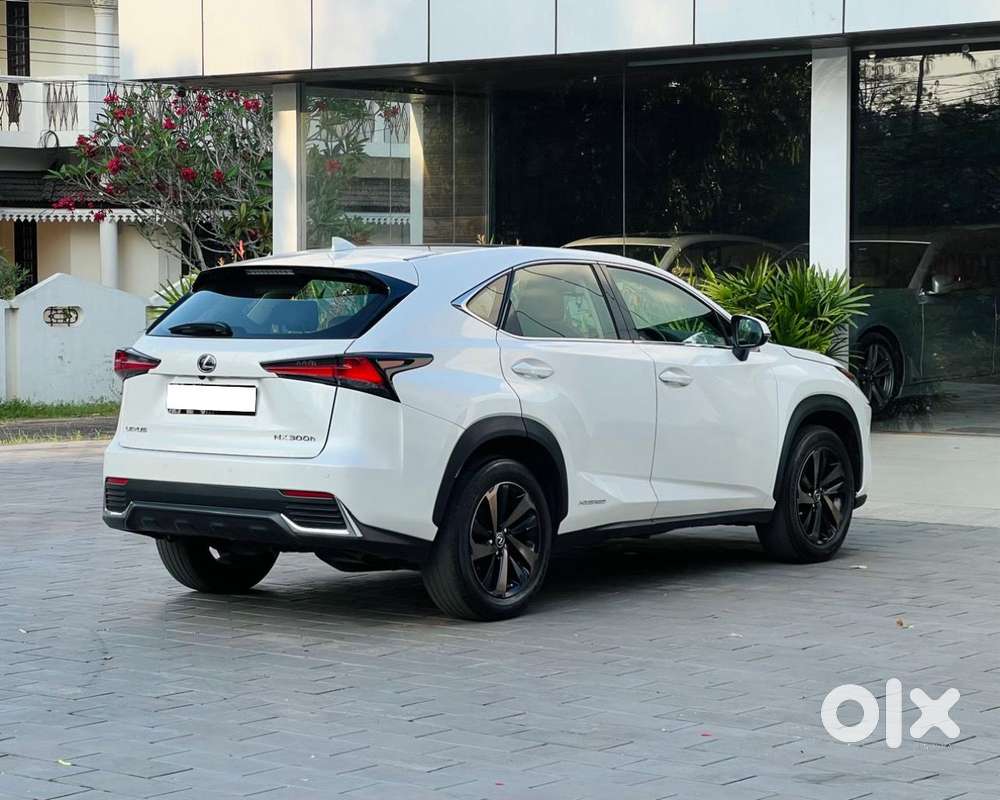 Lexus Nx Lexus-nx-300h-luxury, 2020, Petrol