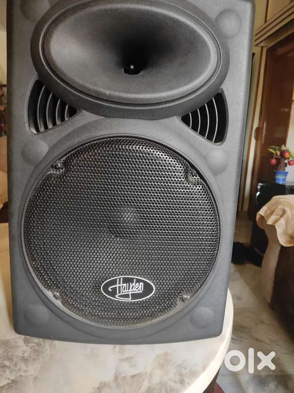 Portable speaker
