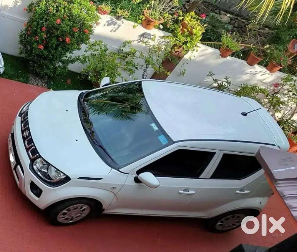 Maruti Suzuki Ignis 2021 Petrol 33000 Km Driven