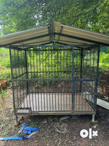 Old dog 2025 cage for sale