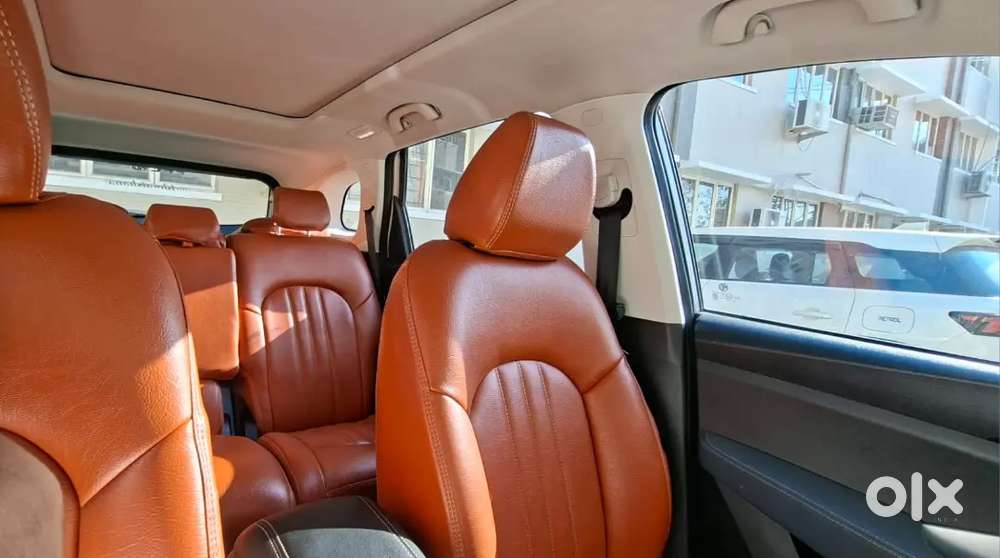 Mg Hector 2023  Low Km  Company Maintained