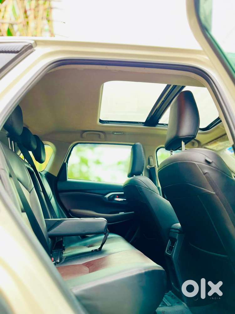 Maruti Suzuki Grand Vitara 1.5 Alpha Smart Hybrid, 2024, Petrol
