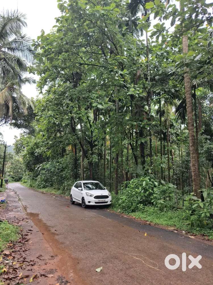 Ford Figo Titanium 1.5 Diesel