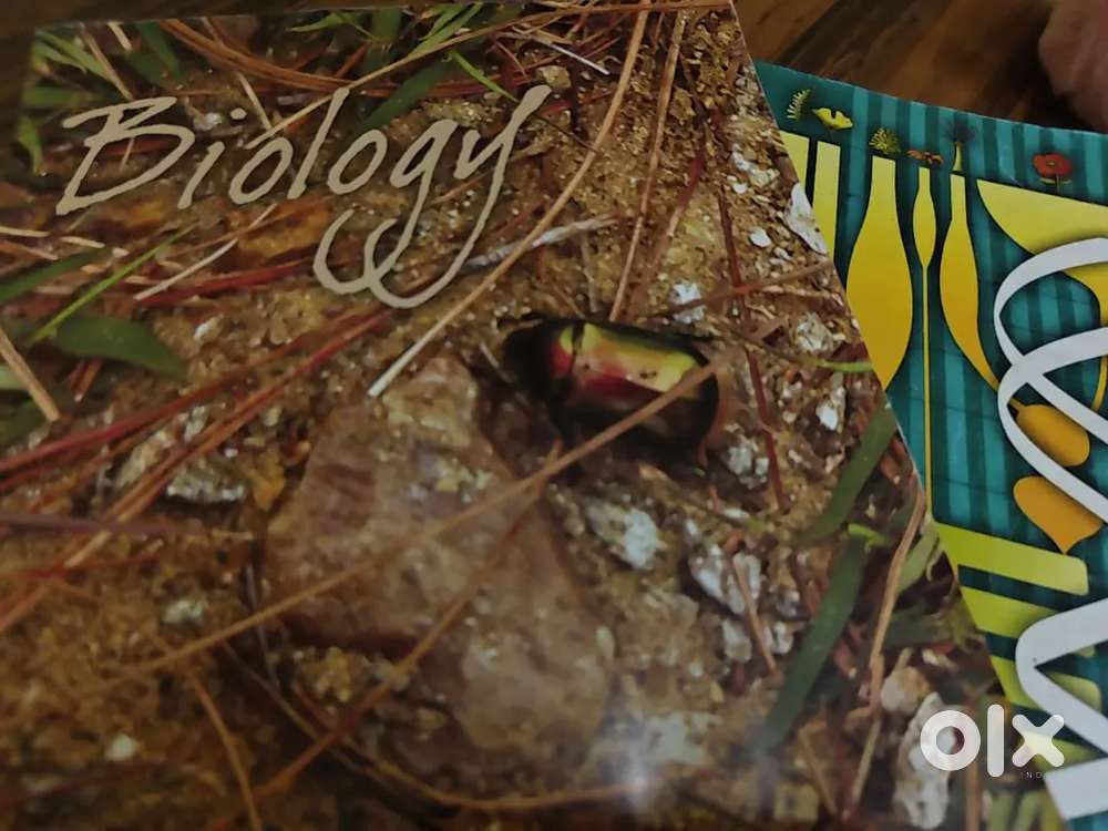 11th-12th Biology Tutor