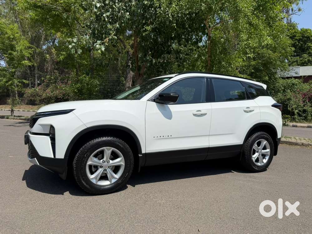 Tata Harrier Diesel 2024 Pure Plus S Diesel Automatic