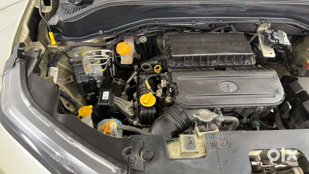 Tata Punch 1.2 Revotron Creative Mt Kaziranga Edition, 2022, Petrol