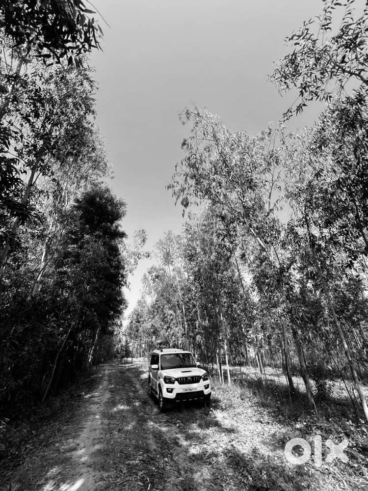 Mahindra Scorpio Classic 2017