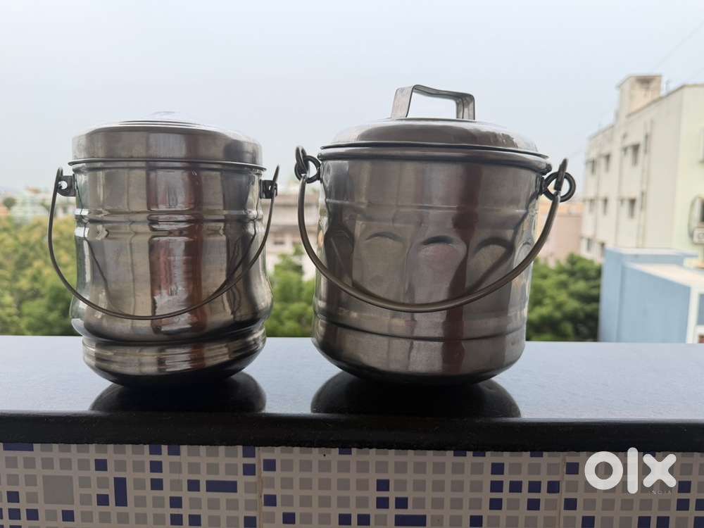 2L and 3L Stainless Steel Food Carriers - Set of 2
