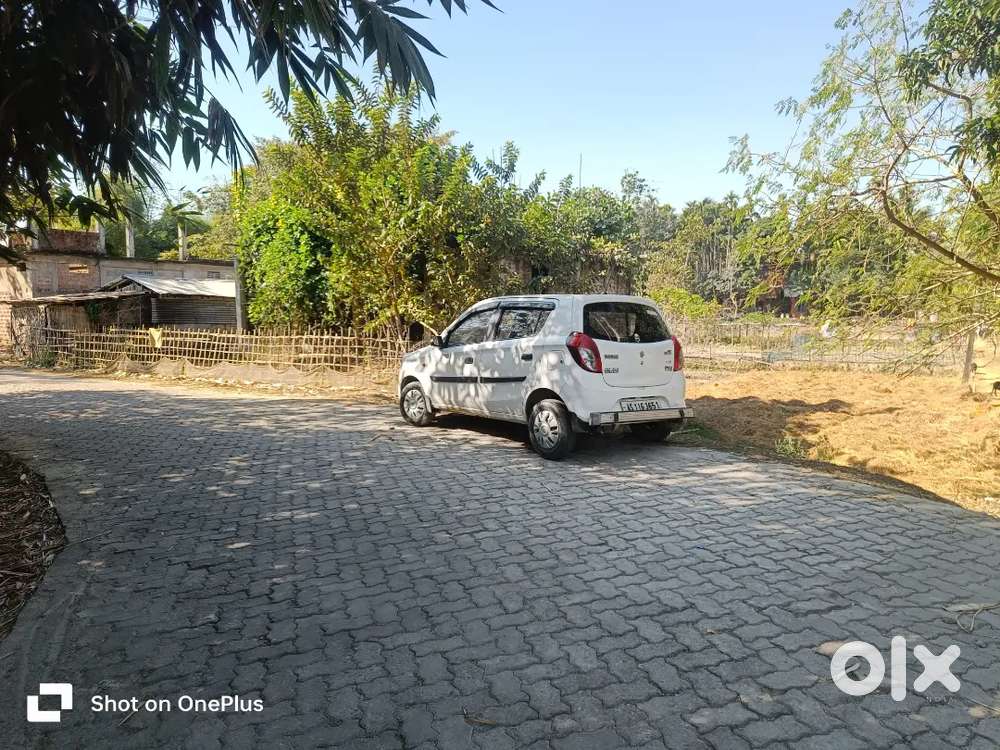Maruti Suzuki Alto 800 2013 Petrol Well Maintained Fixed Price