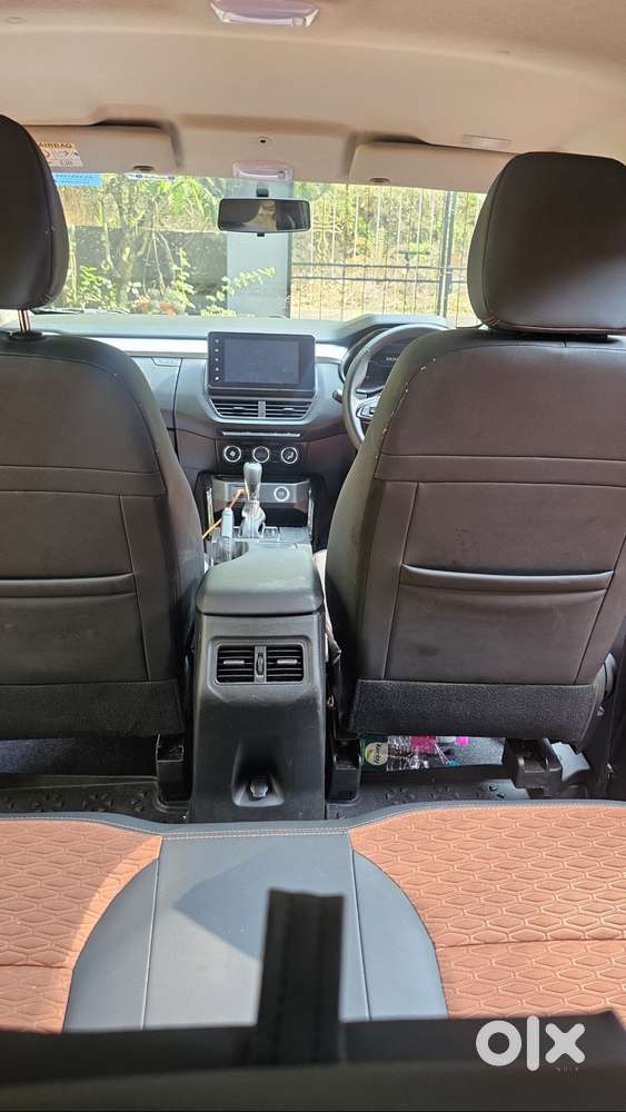 One Year Old Kiger For Sale