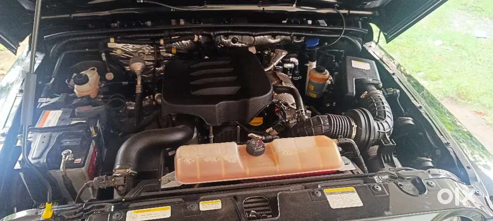 2024 December, 2025 Model