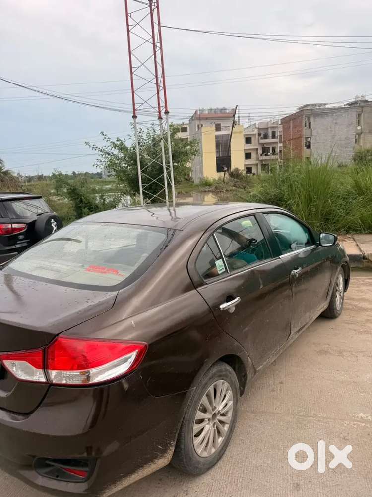 2016 Maruti Ciaz Zxi