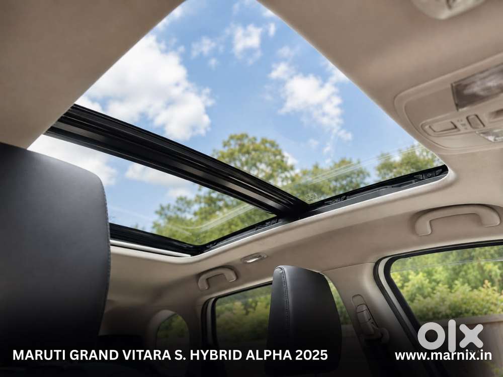 Maruti Suzuki Grand Vitara Alpha Smart Hybrid, 2025, Petrol