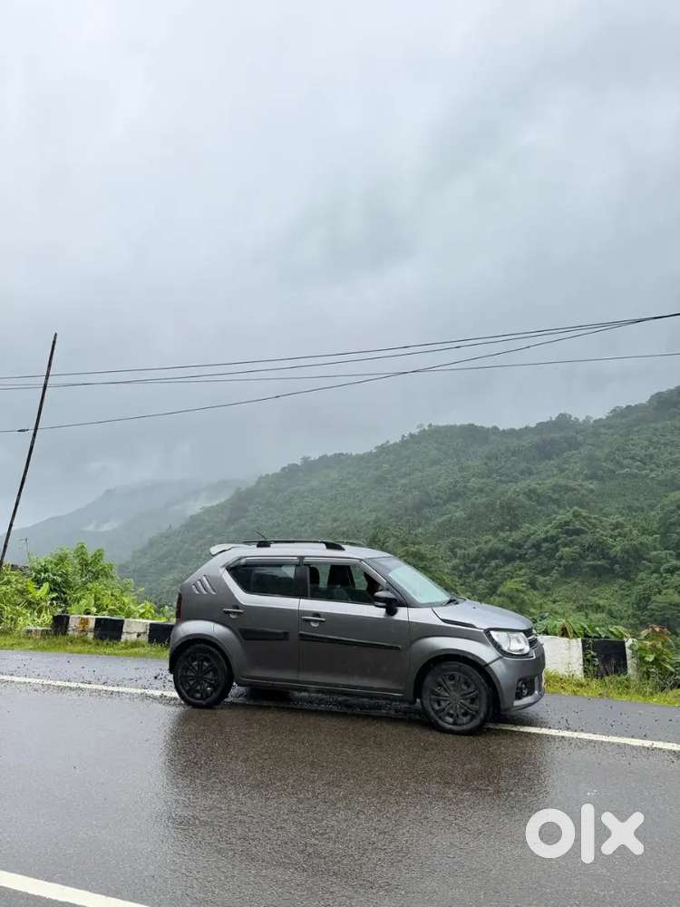 2019 Maruti Suzuki Ignis Delta
