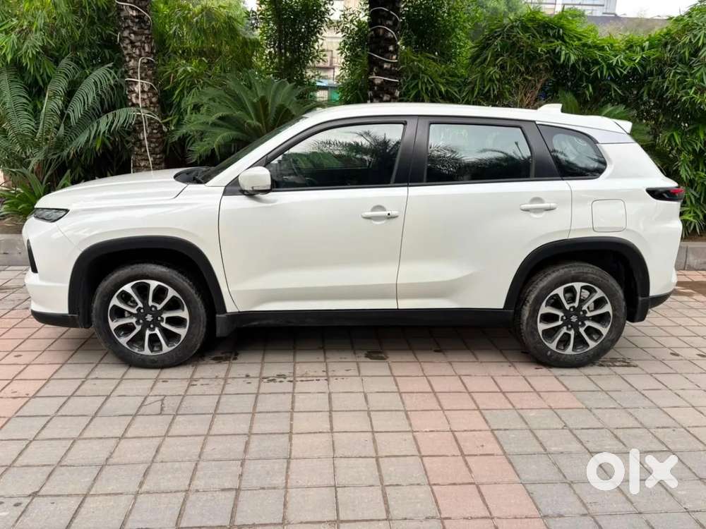 Maruti Suzuki Grand Vitara 1.5 Delta Smart Hybrid, 2024, Petrol